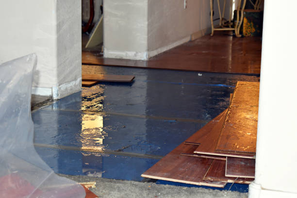 Professional Basement Flooding technician working in Point, TX
